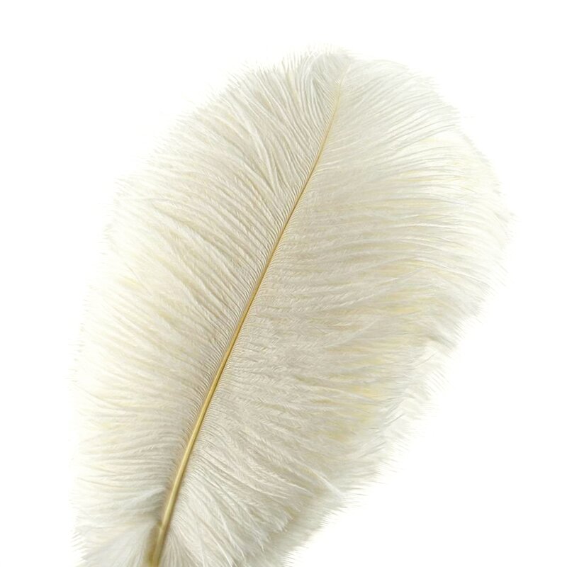 Mercer41 Ostrich Feathers DIY Decor Reviews Wayfair   Ostrich Feathers DIY Decor 